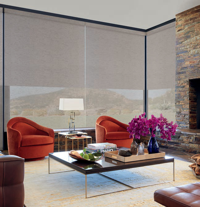 Roller Duolite® Shade