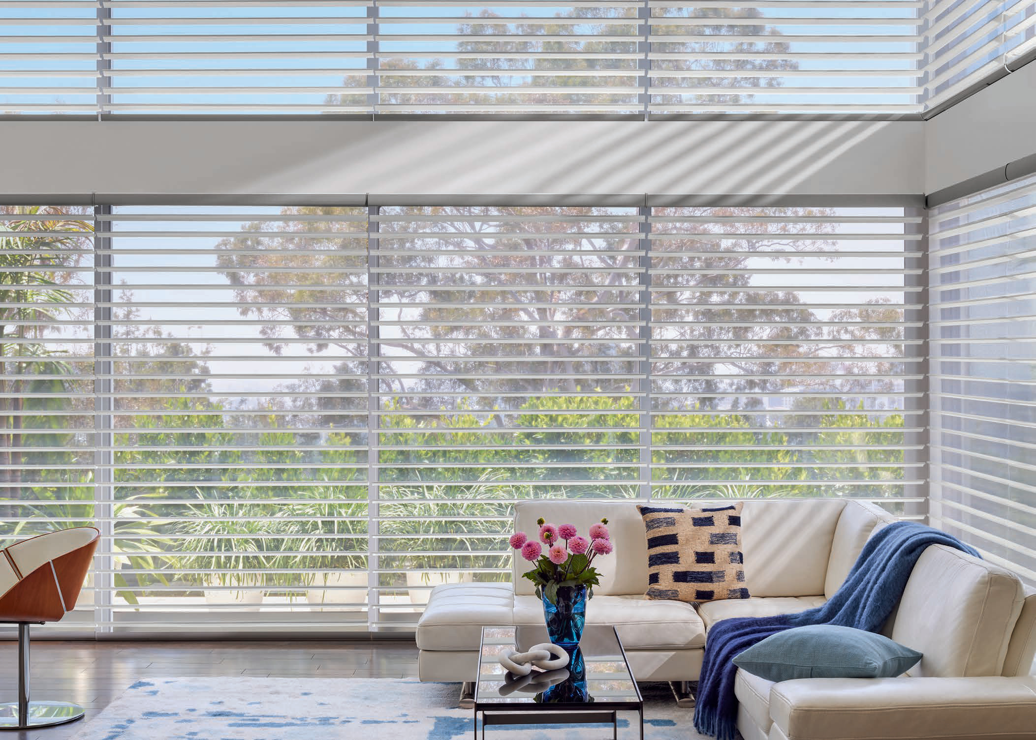 Silhouette® Window Shadings