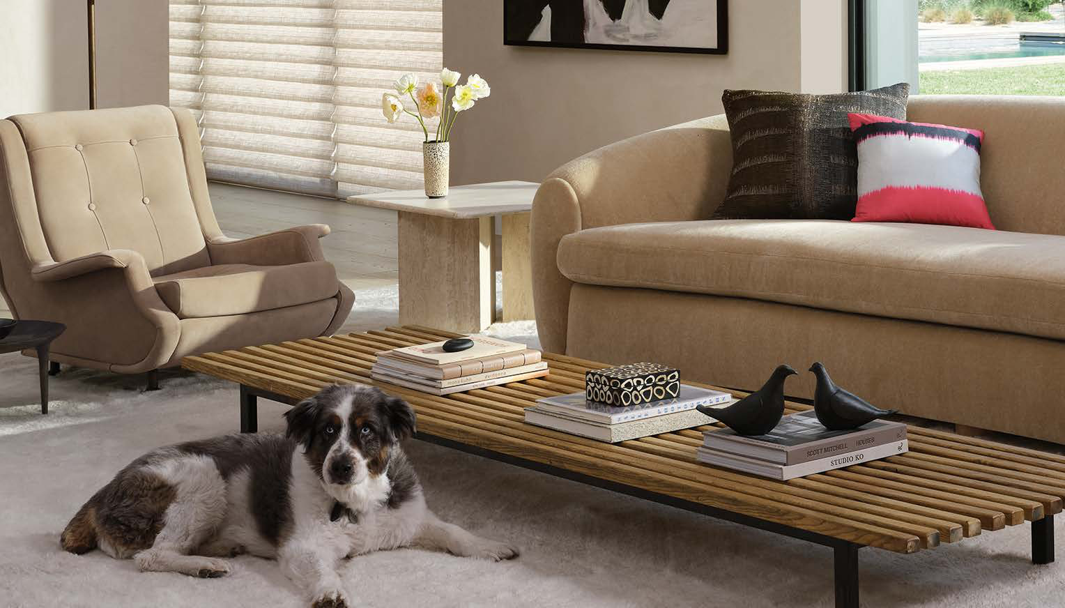 Safer for Children and Pets